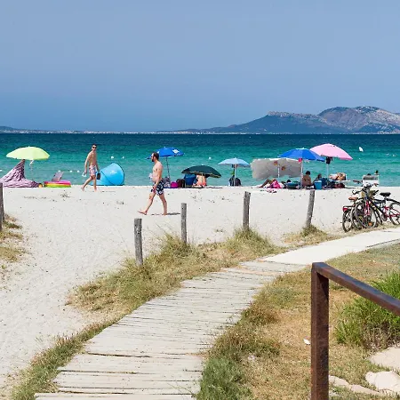 Myrsine Genny - Klodge *